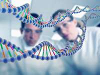 scientists studying DNA strand